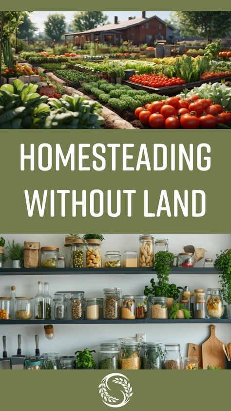 🌿 Dreaming of homesteading but don't have land yet? We're in the same boat! See how we're preparing for our future farm and embracing the homesteading lifestyle while we wait. #HomesteadingWithoutLand #FarmLifeDreams #SeasonallyHomemade

https://seasonallyhomemade.com/homesteading-without-land/ Homestead Without Land, Homesteading Without Land, Micro Homesteading, Micro Homestead, Composting Food Scraps, Dreams For The Future, Self Sufficient Homestead, Witchy Garden, Off Grid Homestead