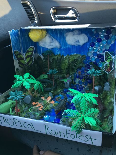 Biome  Tropical rainforest project Rainforest Project Ideas, Rainforest School Project, Rainforest Diorama Ideas, Rainforest Shoebox Project, Rainforest Biome Project, Rainforest Habitat Projects For Kids, Biome Project Ideas Rainforest, Biome Projects For Kids, Tropical Rainforest Project