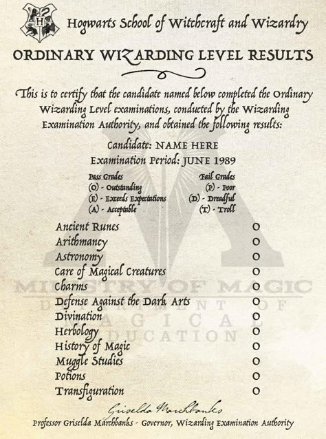 Hogwarts Legacy Character, Harry Potter Infographic, Harry Potter Planner, Harry Potter Journal, Hogwarts Library, Ancient Runes, Harry Potter Printables, Harry Potter Spells, Ministry Of Magic