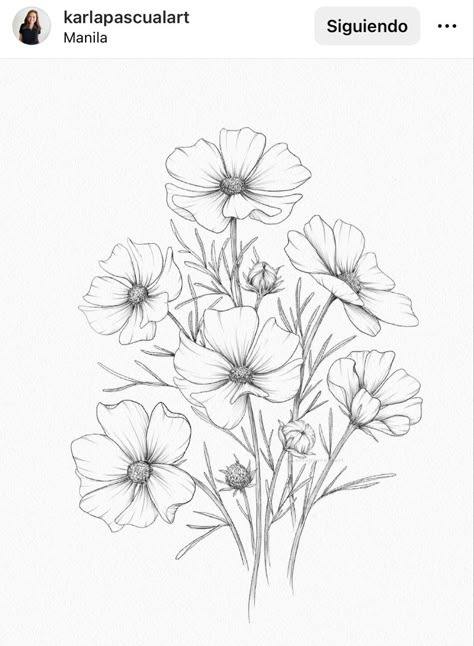 Closed Flower Drawing, Cosmo Flower Drawing, Different Flowers Drawings, Cosmo Tattoo Flower, Cosmos Flowers Drawing, Cosmo Flower Tattoo, Cosmos Drawing, Wild Flowers Tattoo, Line Sketches