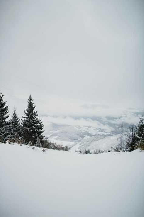 Snowy terrain with trees near mountains · Free Stock Photo Snowy Landscape Photography, Snowy Terrain, Snowy Landscape, Landscape Trees, Mountain Landscape, Winter White, Botany, Cover Photos, Free Stock Photos