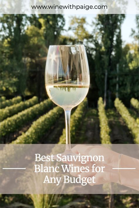 Looking for a good Sauvignon Blanc wine but don't want to spend a lot of money? Look no further! In this article, we will recommend some of the best Sauvignon Blanc wines for any budget. Whether you're looking for a cheap bottle to enjoy on a weeknight or a splurge-worthy bottle to save for a special occasion, we've got you covered. Sauvignon Blanc Wine, Candied Pineapple, Wine 101, Vegan Wine, Wine Drinking, Lime Peel, Stone Fruits, Wine Education, Snap Peas