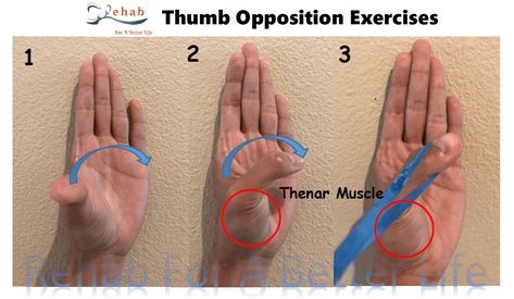 Thumb Pain Relief, Hand Therapy Exercises, Hand Health, Arthritic Pain, Hand Exercises, Hand Therapy, Joints Pain Relief, Best Exercises, Healing Powers