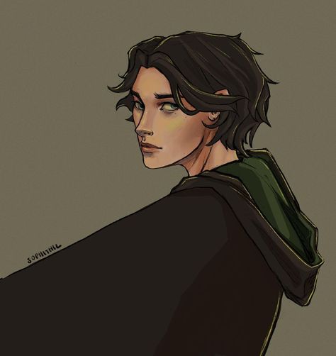 Regulas Black Fanart, Regulus Black Fan Art, Regulus Fanart, Regulus Black Fanart, Regulus Acturus Black, Marauders Era Fanart, Black Fanart, Marauders Art, Black Brothers