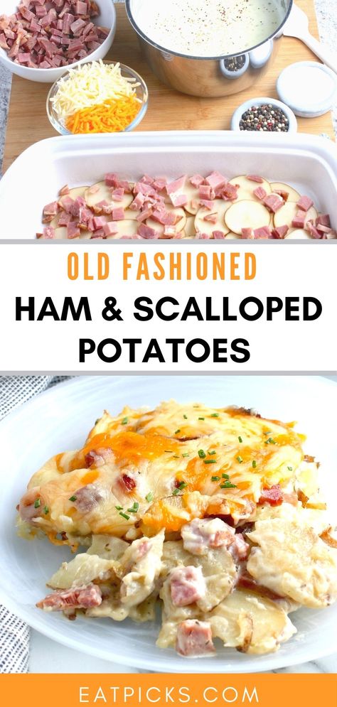 Recipe Using Ham Lunch Meat, Ham And Cheese Potato Bake, Scalloped Potatoes And Ham Recipes, Ham And Cheesy Scalloped Potatoes, Best Scalloped Potatoes And Ham Recipe, Leftover Ham Recipes Casseroles Main Dishes, I’ll Gratin Potatoes And Ham, Ham And Potatoes Casserole Recipes, Cheese Scalloped Potatoes And Ham