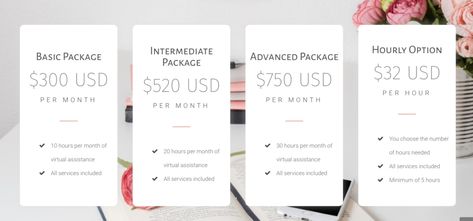 Virtual Assistant Pricing: Hourly vs. Packages - The Virtual Savvy Virtual Assistant Pricing, Virtual Assistant Tools, Small Business Management, Admin Assistant, Social Media Packages, Small Business Plan, Administrative Assistant, Virtual Assistant Business, Vision Board Inspiration