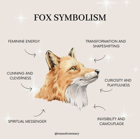 Fox Symbolism, Wicca Aesthetic, Aesthetic Magic, Fox Totem, Animal Meanings, Chihiro Y Haku, Spell Work, Animal Spirit Guides, Fox Spirit