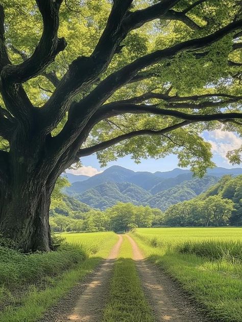 Pretty Landscapes, Dirt Road, Nature Aesthetic, Pretty Places, 그림 그리기, Nature Pictures, Pretty Pictures, Life Is Beautiful, Beautiful Landscapes