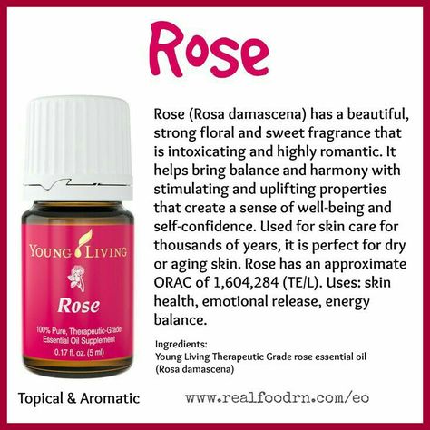 Yl Floral Essential Oils, Essential Oils 101, Yl Oils, Essential Oils Gifts, Yl Essential Oils, Living Essentials Oils, Rose Essential Oil, Young Living Oils, Oil Benefits