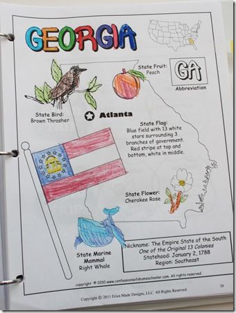 A week-long study about Georgia States Worksheets, Georgia Regions, Curriculum Preschool, Third Grade Social Studies, Us Geography, Georgia History, Georgia Map, 13 Colonies, Social Studies Unit