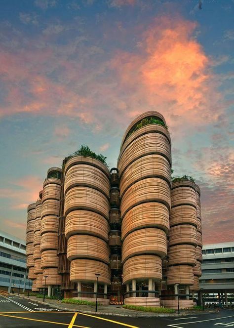 Singapore Buildings Architecture, Singapore Buildings, Ntu Singapore, Heatherwick Studio, Singapore Architecture, Ing Civil, Singapore Malaysia, Amazing Buildings, Unique Buildings