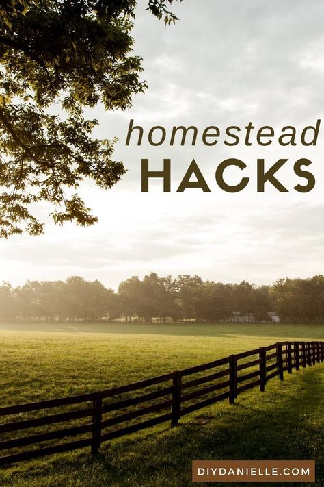 Small Farm Hacks, Homestead Hacks, Farm And Ranch Hacks, How Many Acres For Homestead, 5 Acre Homestead Layout, How To Start A Farm With No Money, Ways To Make Money On A Homestead, Building A Chicken Run, Farm Hacks