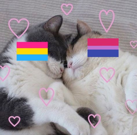 Pansexual And Bisexual, Nonbinary Wallpaper, Pansexual Pfp, I Need A Girlfriend, Lgbt Sticker, Marceline And Princess Bubblegum, Emotions Cards, Y2k Profile Picture, Lgbtq Funny