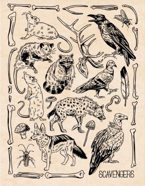 Pigeon Feather, Tone Examples, Earth Worm, Elk Skull, Feather With Birds Tattoo, January Books, Woodcut Tattoo, Medieval Tattoo, Traditional Tattoo Designs