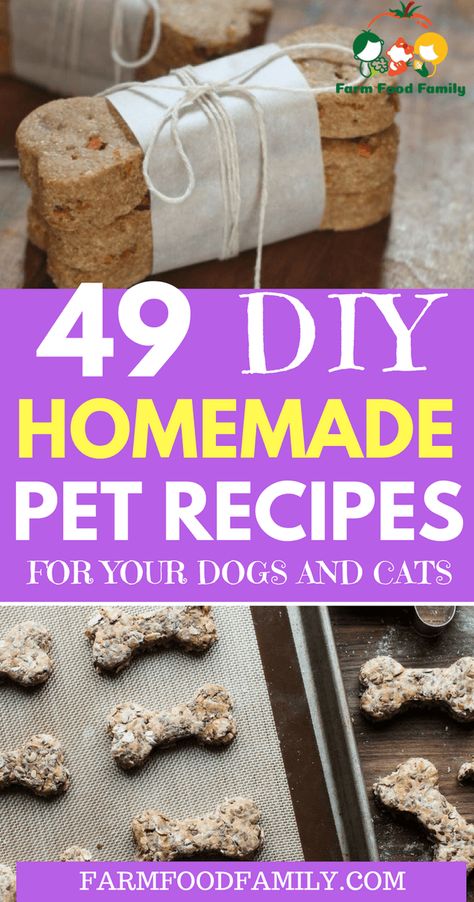 Pet Recipes, Homemade Pet Treats, Homemade Dog Cookies, Pet Treats Recipes, Homemade Cat Food, Easy Dog Treat Recipes, Dog Biscuit Recipes, Easy Dog Treats, Healthy Dog Treats Homemade