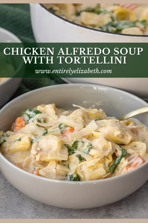 Chicken Alfredo Tortellini Soup Recipe, Crock Pot Chicken Tortellini Soup, Alfredo Soup Recipe, Tortellini Alfredo Soup, Chicken Alfredo Soup Recipe, Chicken Alfredo Tortellini Soup, Alfredo Tortellini Soup, Chicken Alfredo Soup, Nutritional Eating