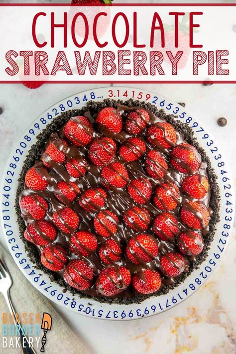 This Chocolate Strawberry Pie combines the rich, sweet flavor of chocolate with the tangy, fresh flavor of strawberries for a tasty and decadent dessert. Creating this masterpiece is worth every second! Strawberry Chocolate Pie, Strawberry Desserts Chocolate, Frozen Strawberry Chocolate Dessert, Strawberry Pie With Chocolate Crust, Strawberry Pie With Gelatin, Chocolate Strawberry Tart, Chocolate Strawberry Pie, Oreo Crust Recipe, Chocolate Strawberry Desserts