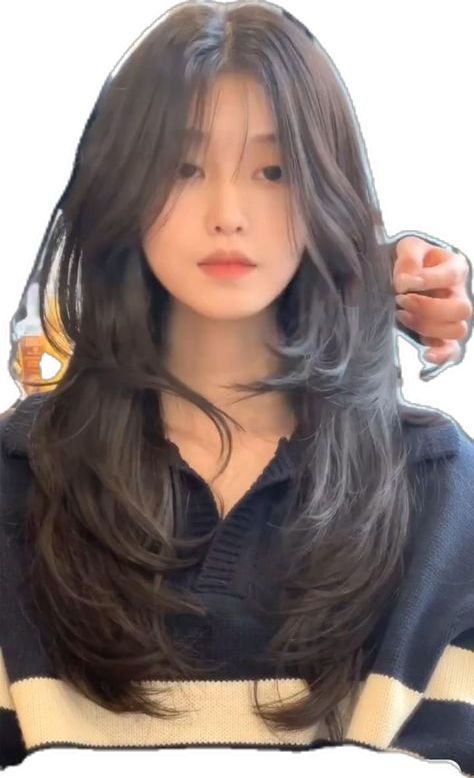 Pretty Hair Cuts, Muka Lelaki, Aesthetic Hairstyles, Haircuts For Long Hair With Layers, Haircuts For Medium Length Hair, Hair Style Korea, Hair Inspiration Long, Layered Haircuts For Medium Hair, Hairstyles For Layered Hair