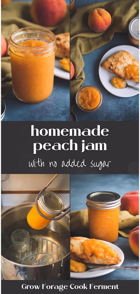 Our sugar-free peach jam recipe is your next canning project. Learn how to make peach jam that is not only delicious but also guilt-free. Perfect for canning peaches and enjoying a delicious homemade jam throughout the year. Get started on preserving fruit in jars today! Sugar Free Peach Jam Recipe, Fruit In Jars, Canning Fruit Recipes, Low Sugar Jam Recipes, Homemade Peach Jam, Preserving Fruit, Easy Jam Recipe, Jam Canning, Canning Jam Recipes