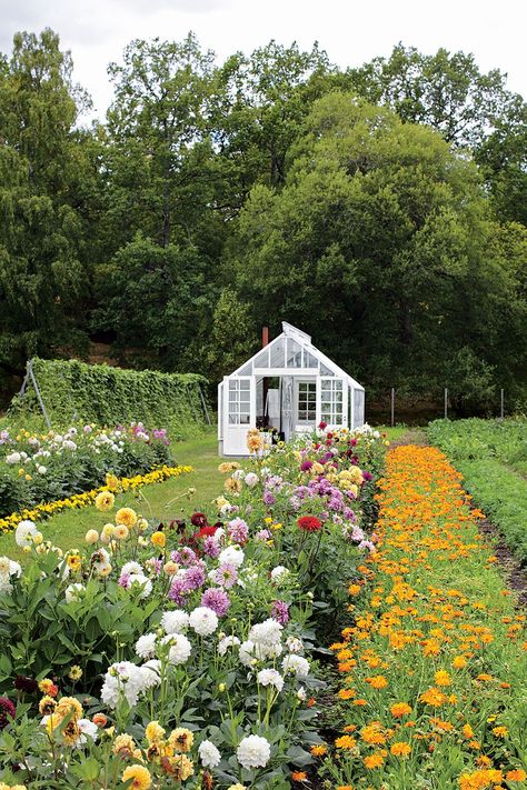 Flower Garden Layouts, Garden Vines, Cut Flower Garden, The Secret Garden, Flowers Garden, Garden Layout, Garden Cottage, Farm Gardens, Flower Farm