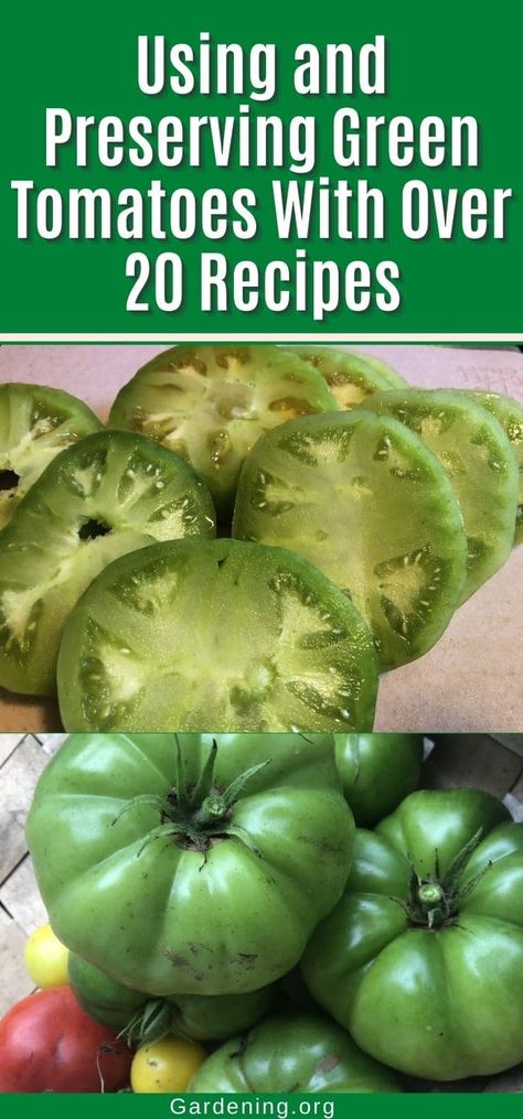 Green Tomato Casserole Recipe, Squash Blossom Recipe, Canning Green Tomatoes, Green Tomato Salsa, Pickled Green Tomatoes, Preserving Tomatoes, Green Tomato Recipes, How To Cook Greens, Tomato Dishes