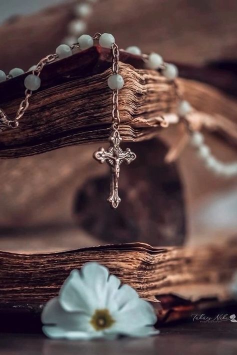 Beautiful World, Rosary, The Bible, A Girl, Bible, Romance, Tumblr, Design