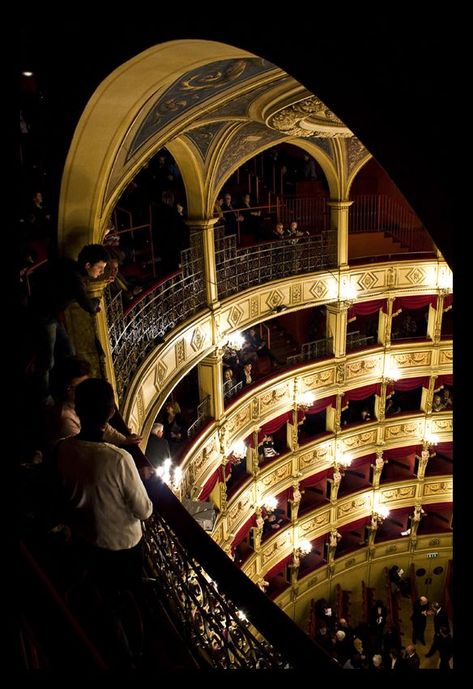 Theatre Academia, Theatre Aesthetic, A Night At The Opera, Trieste, Phantom Of The Opera, Concert Hall, Old Money Aesthetic, The Opera, Eiffel Tower Inside