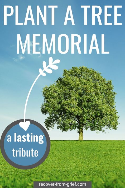 Plant A Tree Memorial - A Lasting Tribute - Recover From Grief Memorial Tree Ideas, Memorial Tree, Planting A Tree, Sympathy Messages, Plant House, Memory Tree, Plant A Tree, Losing A Loved One, Life Symbol