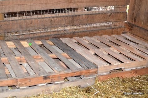 Goat Sleeping Platform, Goat Sleeping, Stall Flooring, Keeping Goats, Goat Health, Goat Shed, Goat Shelter, Goat Pen, Goat House