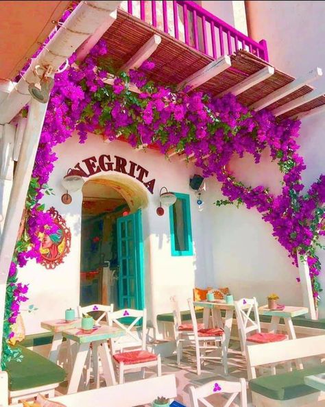 Mexican House Design, Mexican Vacation Outfits, Hacienda Mexico, Hacienda Style Home, Storefront Ideas, Home Gardening Ideas, Mexican Restaurant Decor, Dance Studio Design, Modern Hacienda