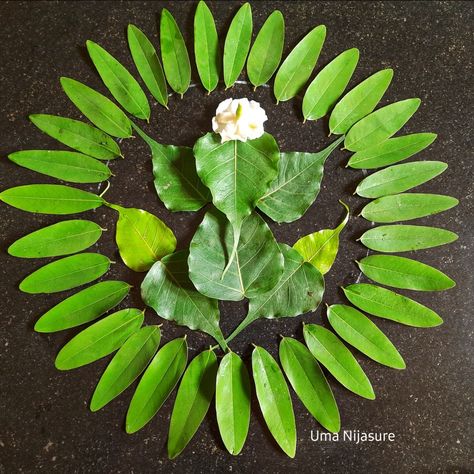 Leaves Rangoli, Vasudev Krishna, Floral Rangoli, Arti Thali Decoration, Onam Pookalam, Poo Kolam, Pista Shell Crafts, Nature Mandala, Dots Kolam