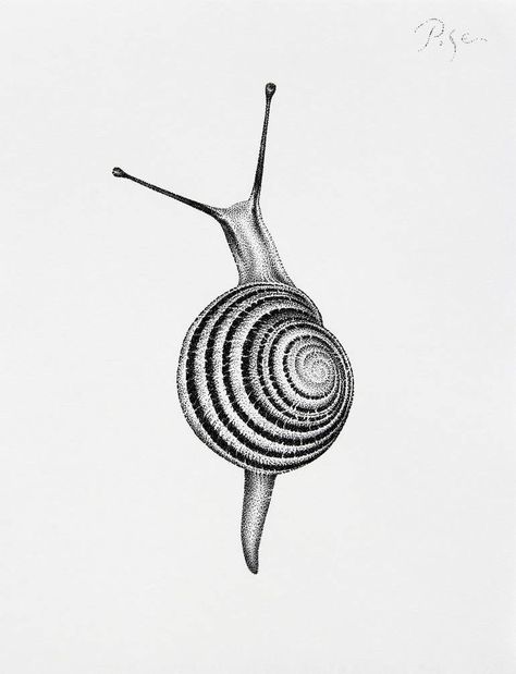 Nature Back Tattoo, Snail Drawing, Snail Tattoo, Snail Art, Stippling Art, Quality Quotes, Tiny Art, Art Realism, Time Painting