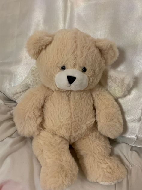 Teddy Bear Plush Aesthetic, Cute Teddies Stuffed Animals, Cute Bear Plushies, Stuffed Animal Astethic, Stuffed Bear Aesthetic, Stuffed Toys Aesthetic, Stuff Toys Aesthetic, Stuff Animals Plush Aesthetic, Cute Teddy Bear Aesthetic