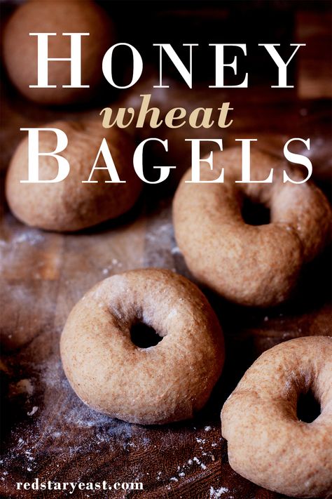 Wheat Bagels Recipe Homemade, Homemade Whole Wheat Bagels, Whole Wheat Bagel Recipe, Wheat Bagel Recipe, Bagel Spread Recipes, Bagels Recipe Homemade, Bagel Flavors, Whole Wheat Bagels, Types Of Bagels