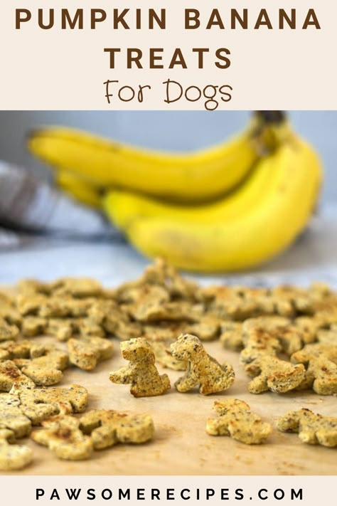 Banana Pumpkin Dog Treats Homemade, Pumpkin Banana Dog Treats Recipe, Pumpkin And Banana Dog Treats, Banana Pumpkin Dog Treats, Homemade Cat Treats Easy, Pumpkin Banana Dog Treats, Banana Dog Treat Recipe, Banana Dog Treats, Pet Recipes