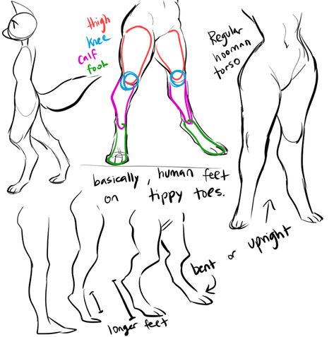 scribbled out a little digigrade leg thing for a bud, maybe you guys will find some use out of it too! 강아지 그림, Body Reference Drawing, Drawing Drawing, Anatomy Drawing, Poses References, Figure Drawing Reference, Creature Concept Art, Anatomy Reference, Reference Poses