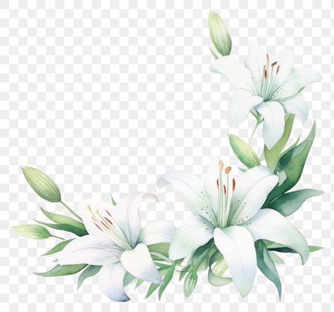 Watercolor Blossom, Lily Watercolor, Graphic Design News, Flower Magnolia, Flower Border Png, Flower Frame Png, Frame Watercolor, Web Design Marketing, Border Png