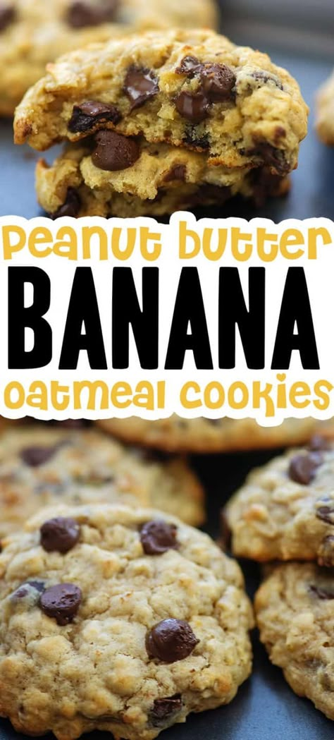 Peanut Butter Banana Oatmeal Cookies, Oats And Chocolate Chips, Oats And Chocolate, Peanut Butter Banana Oatmeal, Peanut Butter Banana Cookies, Peanut Butter Oats, Banana Oatmeal Cookies, Banana Cookies, Peanut Butter Oatmeal