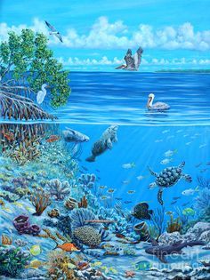 The Sea is Calling by Danielle Perry ~ under the sea art Danielle Perry, Sea Drawing, Underwater Painting, Underwater Scene, Sea Life Art, Under The Ocean, Underwater Art, Animals And Birds, Baby Krishna