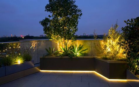 Rooftop Garden Lighting, Planter Box Lighting, Modern Backyard Lighting, Terrace Lighting Ideas, Grape Trellis Ideas, Planter Lights, Planter Lighting, Whimsical Garden Ideas, Terrace Lighting