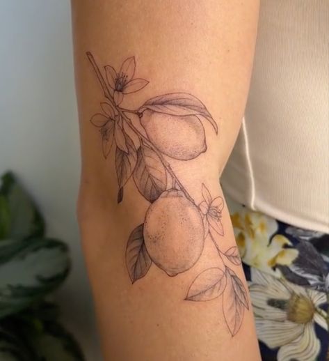 Botanical Hip Tattoos Women, Lemon Branch Tattoo Fine Line, Tangerine Branch Tattoo, Lemon And Flower Tattoo, Mango Branch Tattoo, Lemon Vine Tattoo, Orange Flowers Tattoo, Pear Blossom Tattoo, Italian Style Tattoos