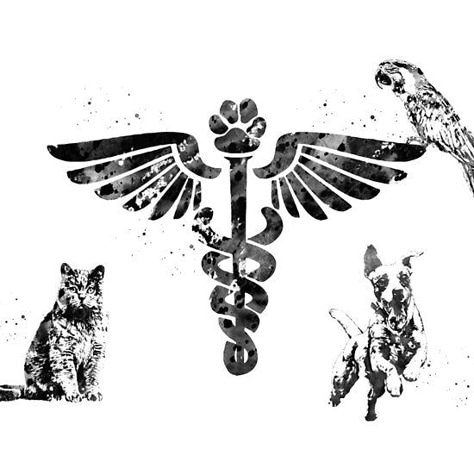 Veterinary Clinic Symbol Veterinary Symbol Tattoo, Vet Assistant Tattoo, Vet Tech Tattoo, Veterinarian Tattoo, Veterinary Medicine Symbol, Veterinary Symbol, Pet Store Design, Vet Medicine, Pet Clinic