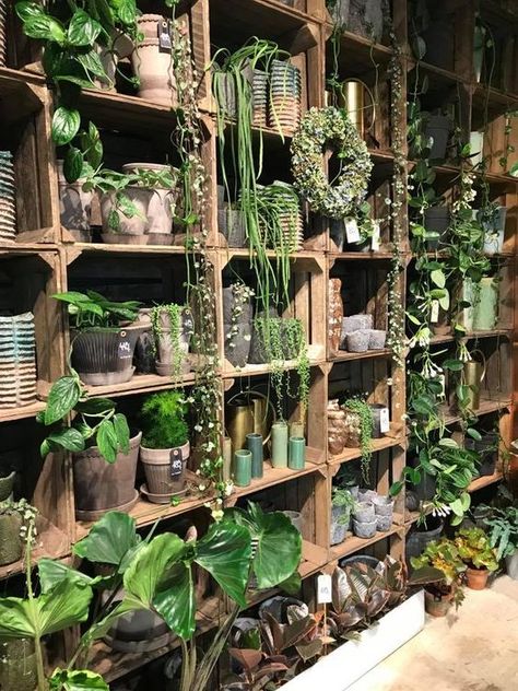 Plant Library, Garden Center Displays, Flower Shop Interiors, Hanging Plants Diy, Flower Shop Design, Plant Store, Hanging Plants Indoor, Gorgeous Interiors, Florist Shop