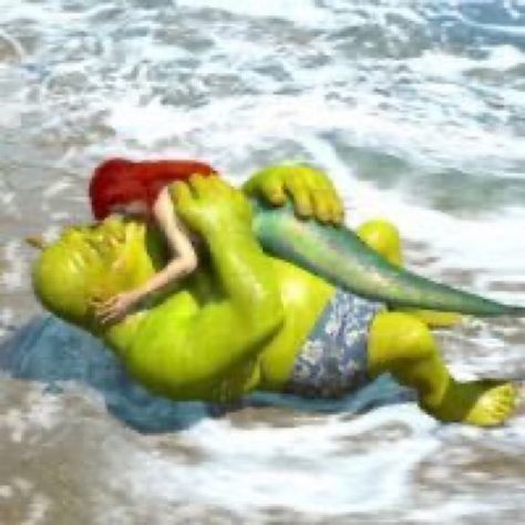 Shrek Character, Princess Fiona, 2 Wallpaper, Funny Profile, Dreamworks Animation, Pop Culture References, Funny Profile Pictures, Funny Reaction Pictures, Shrek