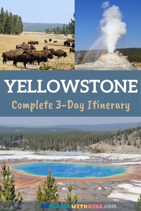 Yellowstone National Park Itinerary, Yellowstone Vacation Planning, Yellowstone Itinerary, West Road Trip, Yellowstone National Park Vacation, Wyoming Vacation, Yellowstone Vacation, Lamar Valley, National Park Itinerary