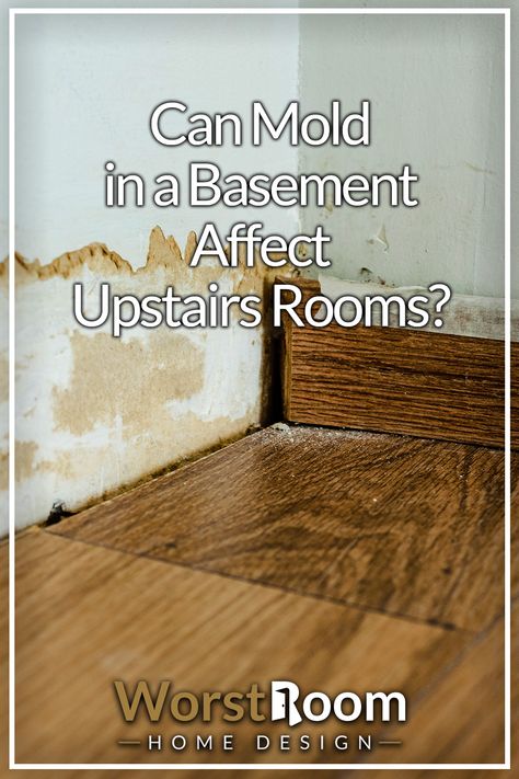 Can Mold in a Basement Affect Upstairs Rooms? Basement Mold Removal, Basement Odor, Mold In Basement, Concrete Basement Walls, Concrete Basement Floors, Best Flooring For Basement, Home Basement, Old Basement, Wet Basement