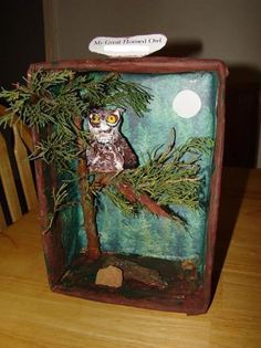 Owl Habitat | Dioramas, Plaster and Simple ... Owl Diorama, Owl Habitat, Owl Themed Parties, Diorama Kids, Owl School, Habitats Projects, Big Brother Little Sister, Forest Habitat, Art Supply Organization