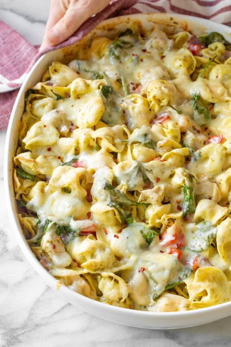 A simple zesty baked pesto chicken pasta with cheese tortellini, fresh spinach, and peppers. #aspicyperspective #foodblog #foodie #instayum #hungry #thekitchn #onmytable #dailyfoodfeed #foodlove #foodpic #instafood #foodstagram #tasty #chickenpestotortellini #tortellinirecipe #bakedtortellini #tortellini #pasta #baked #pesto #chicken #bakedchickenpasta #dinner #lunch #Casserole Pesto Chicken Tortellini, Best Pasta Bake Recipe, Baked Tortellini Recipes, Baked Tortellini, Tortellini Recipe, Baked Pasta Dishes, Baked Pesto Chicken, Pesto Tortellini, Pesto Cheese