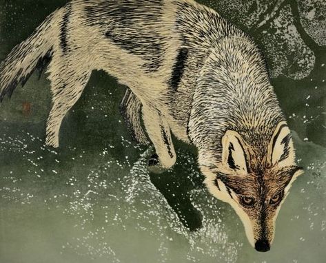 Mexican Wolf by Andrea Rich | Woodcut Print | Mexican Wolf Mexican Wolf, Wolf Aesthetic, Woodcut Art, Wolf Images, Wolf Print, Wolf Artwork, Wolf Painting, Woodcut Print, Wildlife Artwork