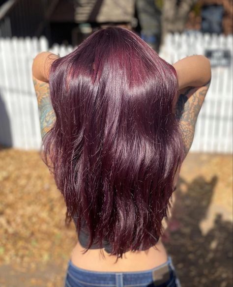 Artic Fox Purple Af, Purple Hair For Brunettes, Arctic Fox Purple Af, Purple Brunette, Arctic Fox Purple, Hair Dye Purple, Hair For Brunettes, Cute Hair Color, Purple Hair Dye